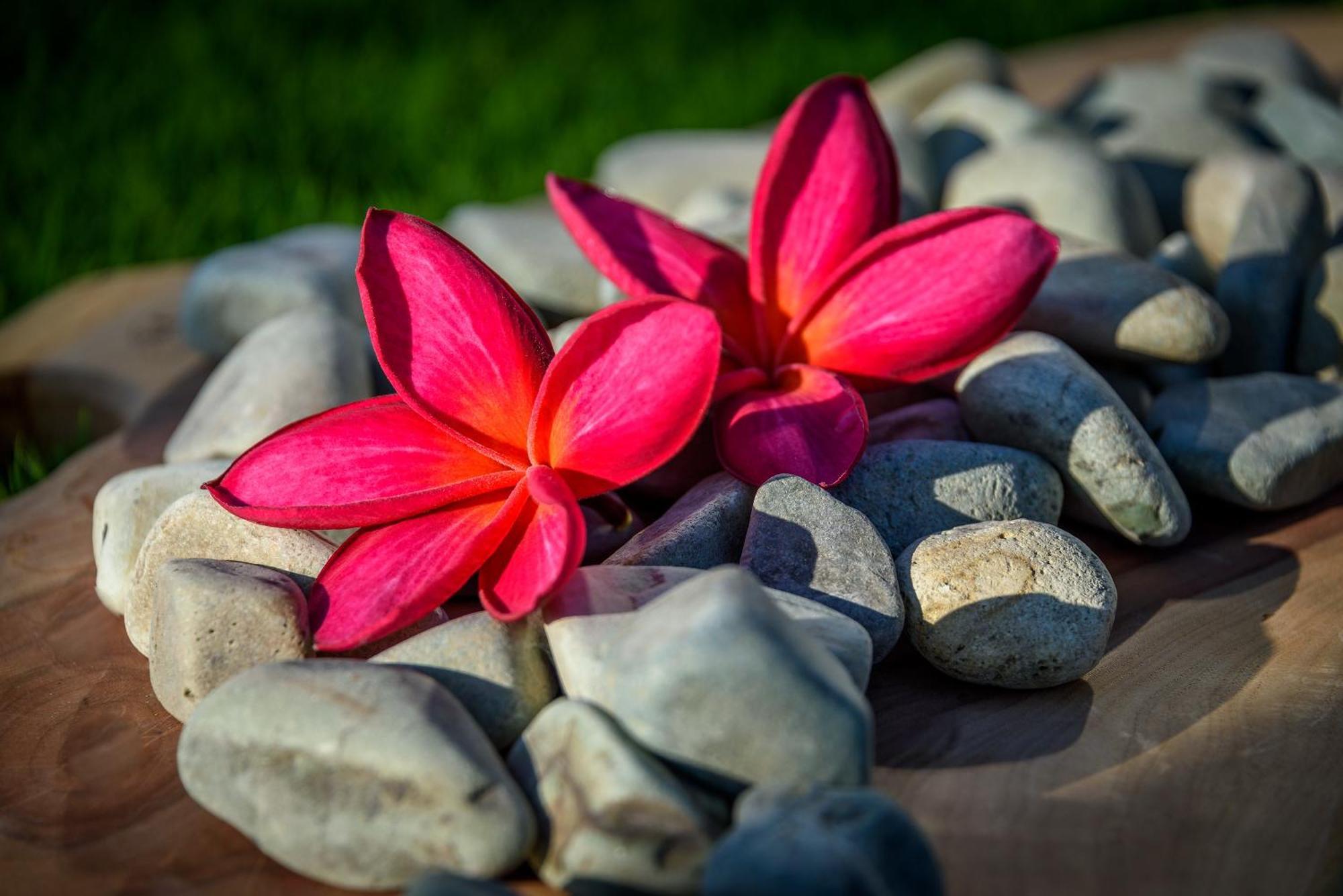 Private Villas Of Bali Νούσα Ντούα Δωμάτιο φωτογραφία